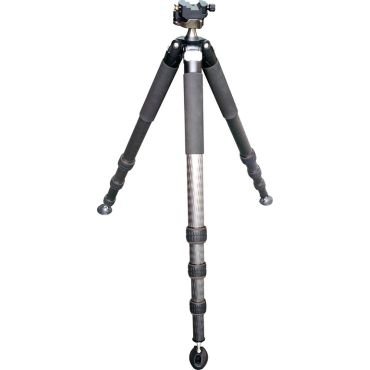 TP2501