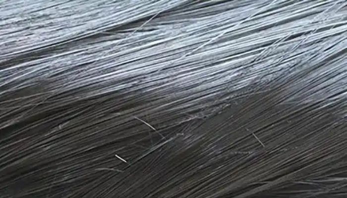 why is carbon fiber so expensive-1