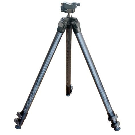 TP2501